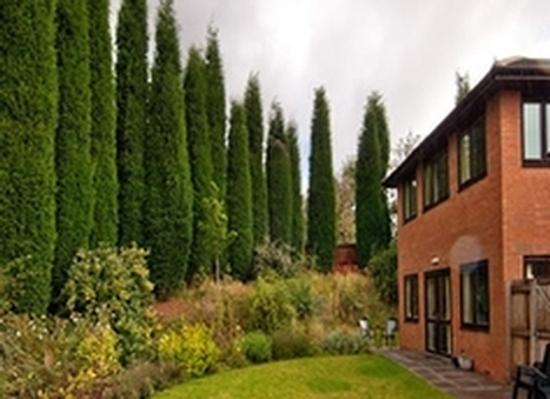 Abbeywell Court Care Home